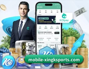 星空娱乐 APP 深度功能