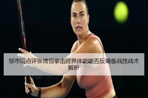 zou-shi-ming-dian-ping-zhang-bo-heng-quan-ji-kua-jie-ti-neng-neng-fou-fan-bu-bei-zhan-ji-zhan-shu-jie-xi-2-976.jpg