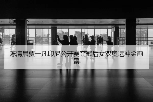 chen-qing-chen-jia-yi-fan-yin-ni-gong-kai-sai-duo-guan-hou-nv-shuang-ao-yun-chong-jin-qian-jing-2-887.jpg